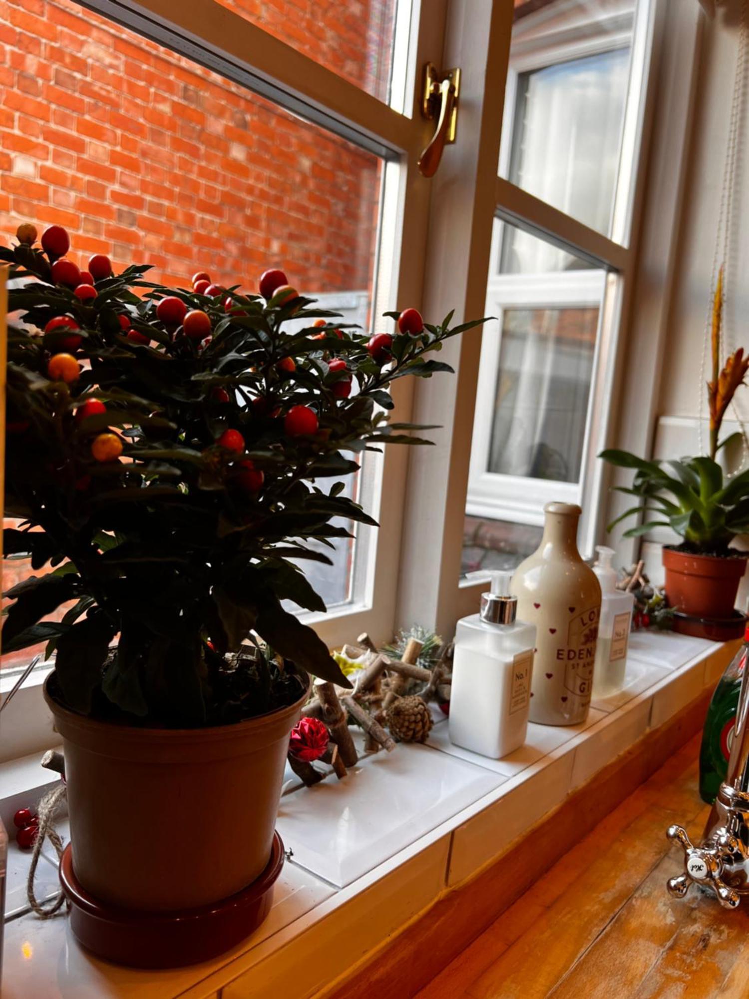 Cartref - Fully Equipped And Stunning Town Flat Apartment Shrewsbury Luaran gambar